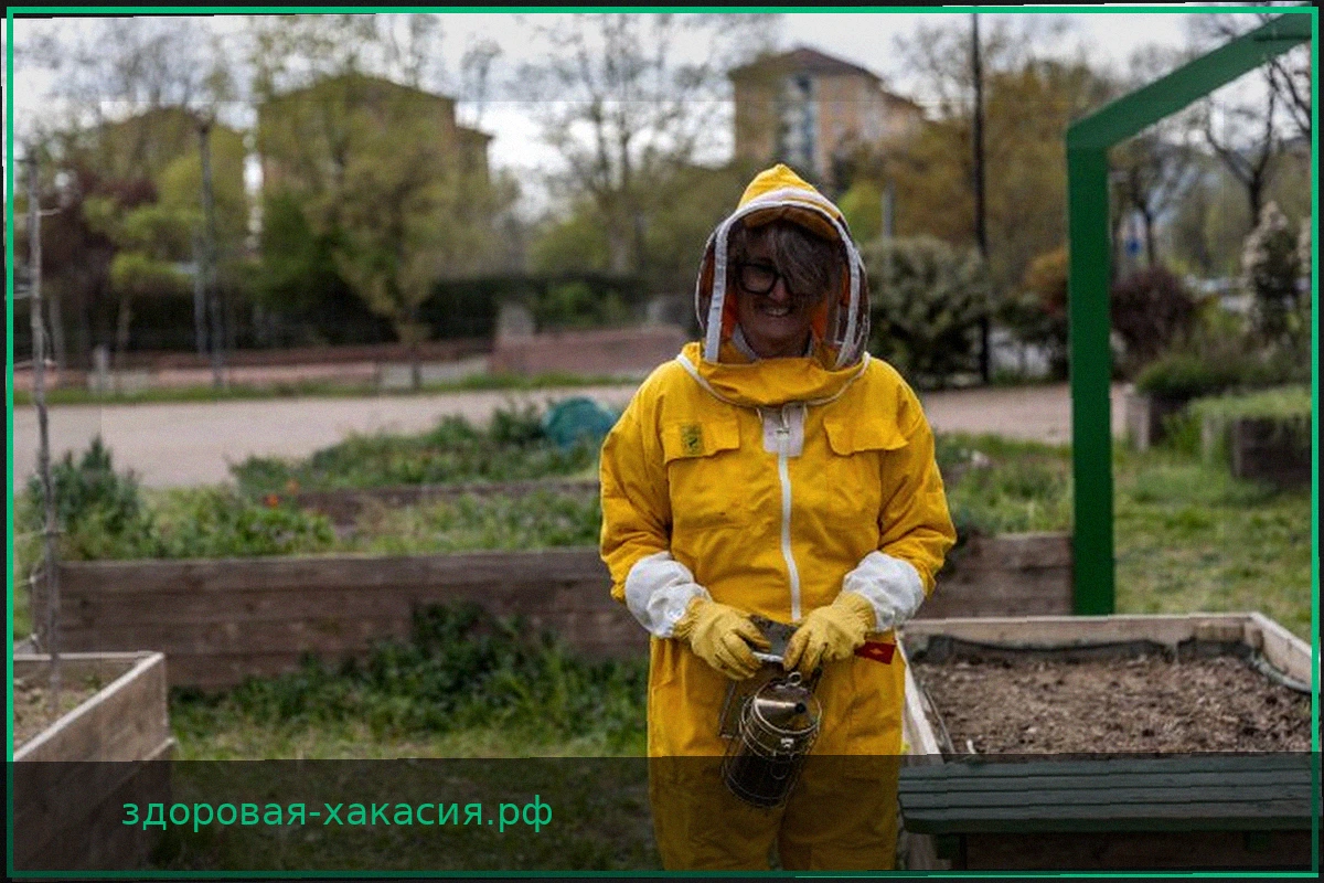 Чему мы можем научиться у пчел?